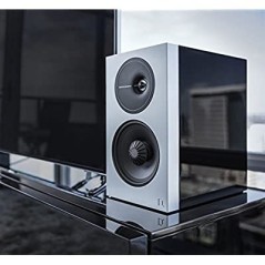 Definitive Technology D11 (par)