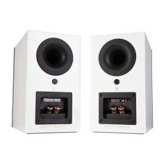 Definitive Technology D11 (par)