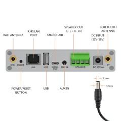 Arylic A30+ Streamer com Amplificação 35W