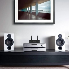 Arylic A50+ Streamer com Amplificação 50W