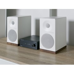 Tangent Ampster BT II