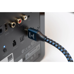 SVS Prime Wireless Pro Powered Speaker (par)