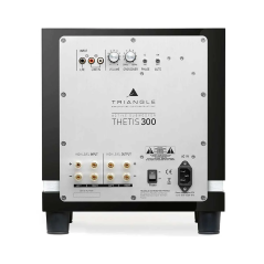 Triangle THETIS 300 - Sub-Woofer