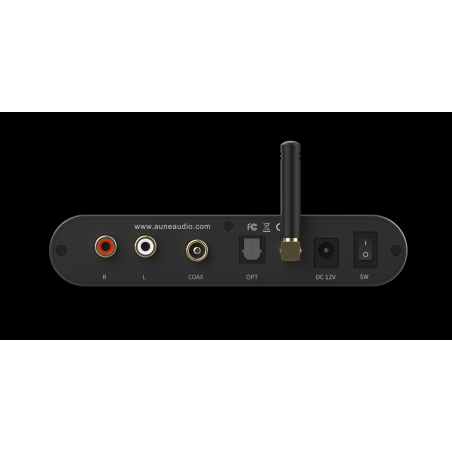 Aune Flamingo BD - DAC/Amplificador a válvulas