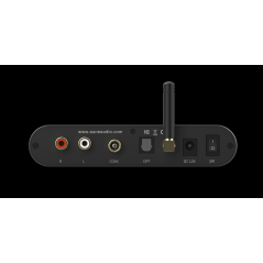 Aune Flamingo BD - DAC/Amplificador a válvulas