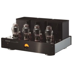 Triode TRZ-P300W