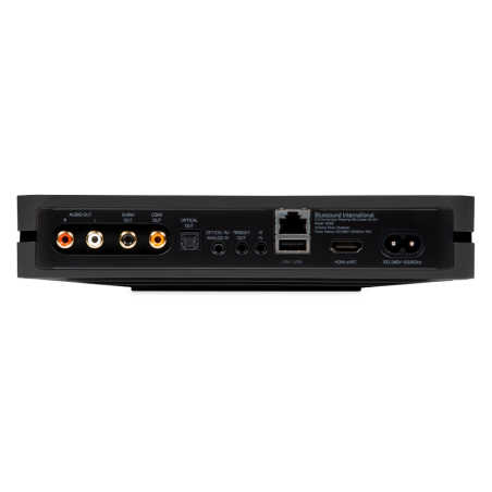 Bluesound NODE N130 (2021)