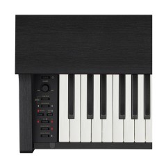 CASIO - CELVIANO AP-270BK