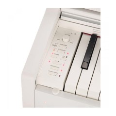 CASIO - CELVIANO AP-270WE