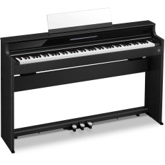 CASIO - CELVIANO AP-S450BK + BANQUETA BGM