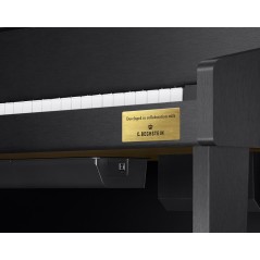 CASIO - CELVIANO GRAND HYBRID GP-310BK
