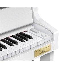 CASIO - CELVIANO GRAND HYBRID GP-310WE