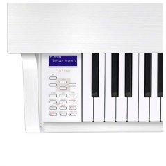 CASIO - CELVIANO GRAND HYBRID GP-310WE