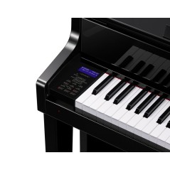 CASIO - CELVIANO GRAND HYBRID GP-510