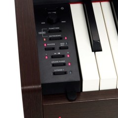 CASIO - PRIVIA PX-770BN