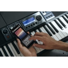 CASIO - CT-S500