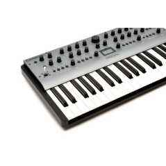 MODAL ELECTRONICS - CARBON8 (37 KEYS)