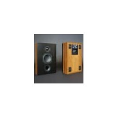 Scansonic L On-Wall Multipurpose Loudspeaker (par)