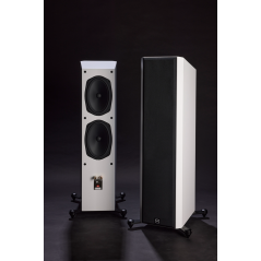 Scansonic M20.2 (par)