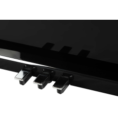 Dexibell VIVO H10 VBKP