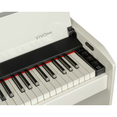 Dexibell VIVO H10 WHP