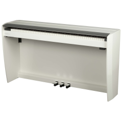 Dexibell VIVO H10 WHP