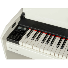 Dexibell VIVO H10 WHP