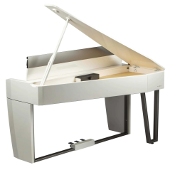 Dexibell VIVO H10MG WHP