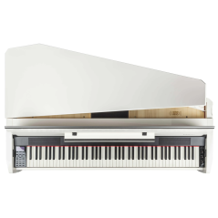 Dexibell VIVO H10MG WHP