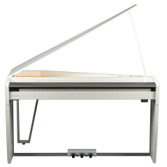 Dexibell VIVO H10MG WHP