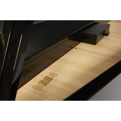 Dexibell VIVO H10MG BKP