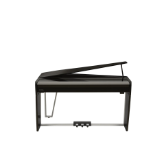 Dexibell VIVO H10MG BKP