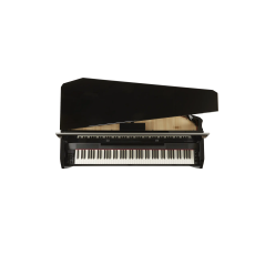 Dexibell VIVO H10MG BKP