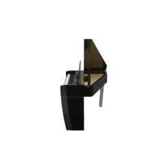 Dexibell VIVO H10MG BKP