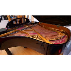 Ibach  - Piano de Cauda Usado