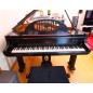Ibach  - Piano de Cauda Usado
