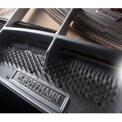 W. Hoffmann P  188 - Piano de Cauda série Professional