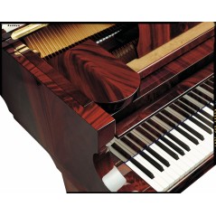 C. Bechstein L-167 - Piano de Cauda série Concert