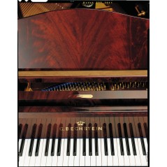 C. Bechstein A-192 - Piano de Cauda série Concert