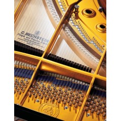 C. Bechstein C-234 - Piano de Cauda série Concert