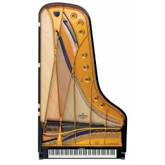 C. Bechstein D-282 - Piano de Cauda topo da série Concert